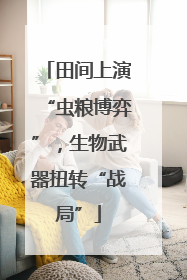 田间上演“虫粮博弈”，生物武器扭转“战局”