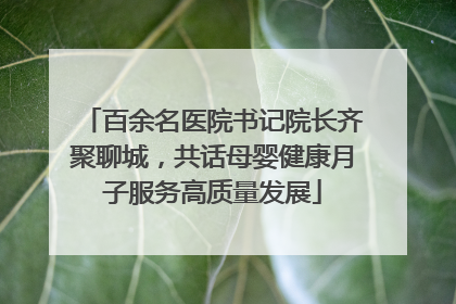百余名医院书记院长齐聚聊城，共话母婴健康月子服务高质量发展