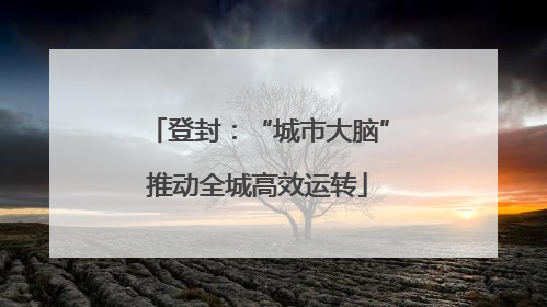 登封：“城市大脑”推动全城高效运转
