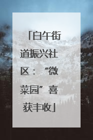 白午街道振兴社区：“微菜园”喜获丰收