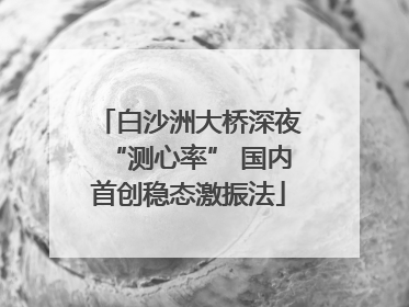 白沙洲大桥深夜“测心率” 国内首创稳态激振法