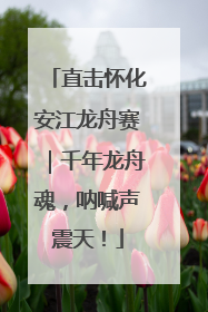 直击怀化安江龙舟赛｜千年龙舟魂，呐喊声震天！