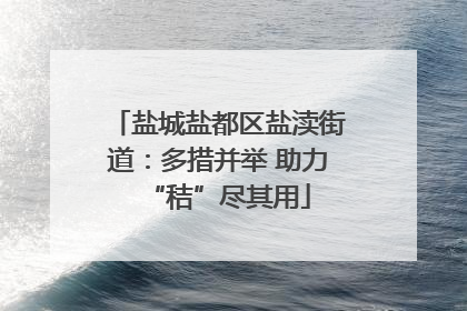盐城盐都区盐渎街道：多措并举 助力“秸”尽其用