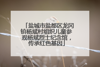 盐城市盐都区龙冈镇杨斌村组织儿童参观杨斌烈士纪念馆，传承红色基因