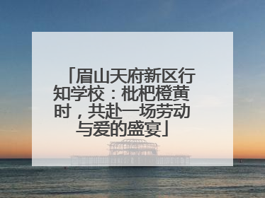 眉山天府新区行知学校：枇杷橙黄时，共赴一场劳动与爱的盛宴