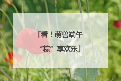 看！萌兽端午“粽”享欢乐