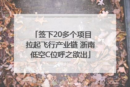 签下20多个项目 拉起飞行产业链 浙南低空C位呼之欲出