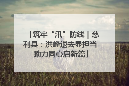 筑牢“汛”防线｜慈利县：洪峰退去显担当 勠力同心启新篇