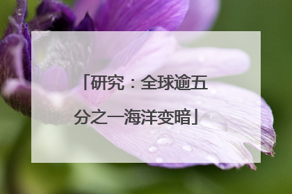 研究：全球逾五分之一海洋变暗