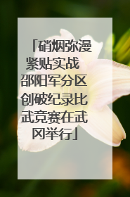 硝烟弥漫紧贴实战 邵阳军分区创破纪录比武竞赛在武冈举行