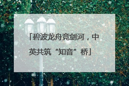 碧波龙舟竞剑河，中英共筑“知音”桥
