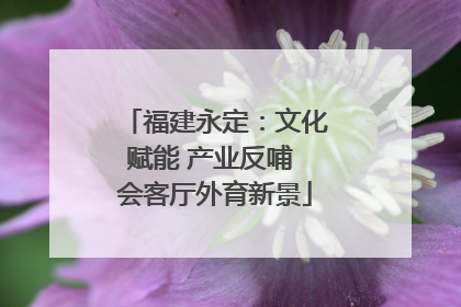 福建永定：文化赋能 产业反哺 会客厅外育新景