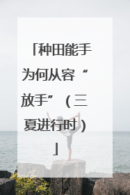 种田能手为何从容“放手”（三夏进行时）