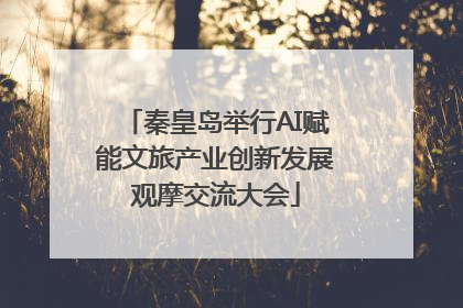 秦皇岛举行AI赋能文旅产业创新发展观摩交流大会
