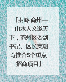 秦岭·商州——山水人文邀天下，商州区委副书记、区长支朝奇推介5个重点招商项目