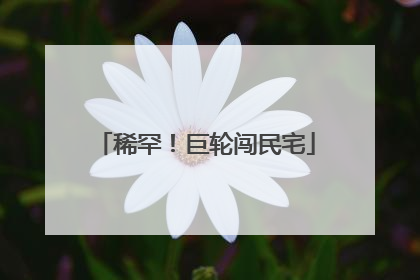 稀罕！巨轮闯民宅