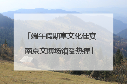 端午假期享文化佳宴 南京文博场馆受热捧