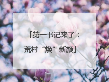 第一书记来了：荒村“焕”新颜