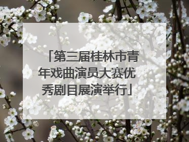 第三届桂林市青年戏曲演员大赛优秀剧目展演举行