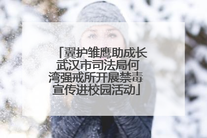 翼护雏鹰助成长 武汉市司法局何湾强戒所开展禁毒宣传进校园活动