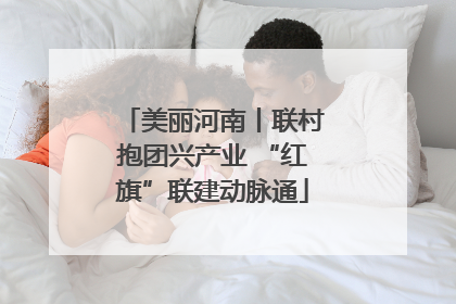 美丽河南丨联村抱团兴产业 “红旗”联建动脉通