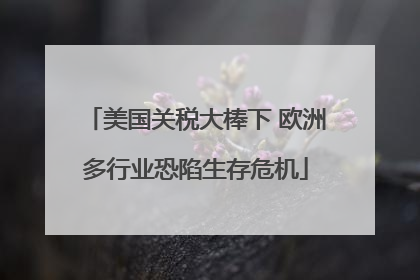 美国关税大棒下 欧洲多行业恐陷生存危机