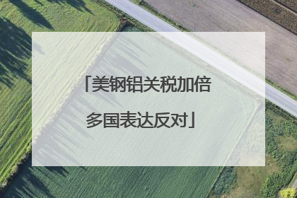 美钢铝关税加倍 多国表达反对