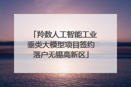 羚数人工智能工业垂类大模型项目签约落户无锡高新区