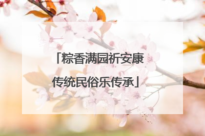 粽香满园祈安康 传统民俗乐传承