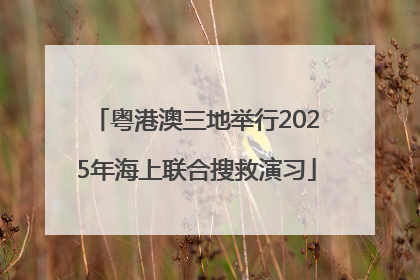 粤港澳三地举行2025年海上联合搜救演习