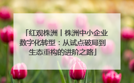 红观株洲丨株洲中小企业数字化转型：从试点破局到生态重构的进阶之路