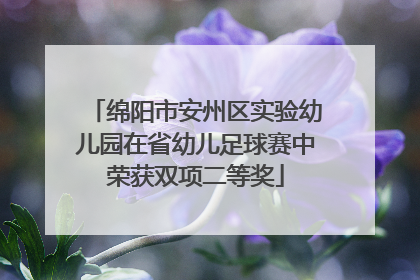 绵阳市安州区实验幼儿园在省幼儿足球赛中荣获双项二等奖