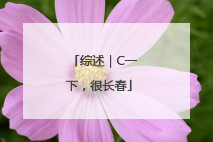综述｜C一下，很长春