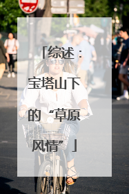 综述：宝塔山下的“草原风情”