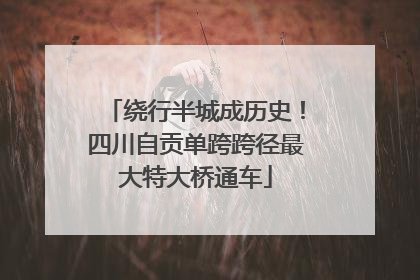 绕行半城成历史！四川自贡单跨跨径最大特大桥通车