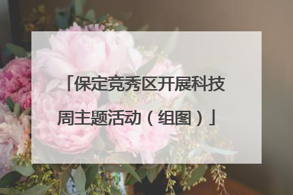 保定竞秀区开展科技周主题活动（组图）