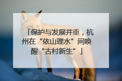 保护与发展并重，杭州在“依山理水”间唤醒“古村新生”