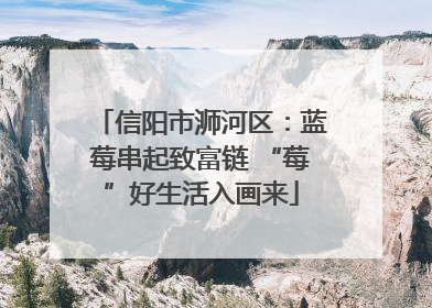 信阳市浉河区：蓝莓串起致富链 “莓”好生活入画来