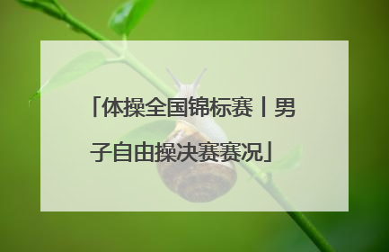 体操全国锦标赛丨男子自由操决赛赛况