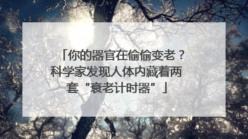 你的器官在偷偷变老？科学家发现人体内藏着两套“衰老计时器”