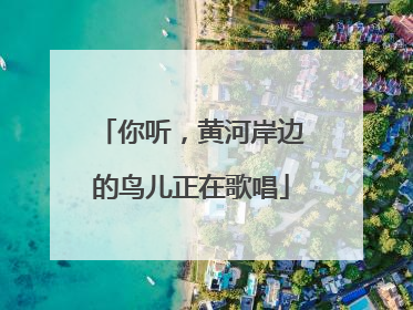 你听，黄河岸边的鸟儿正在歌唱