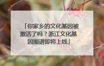 你家乡的文化基因被激活了吗？浙江文化基因图谱即将上线