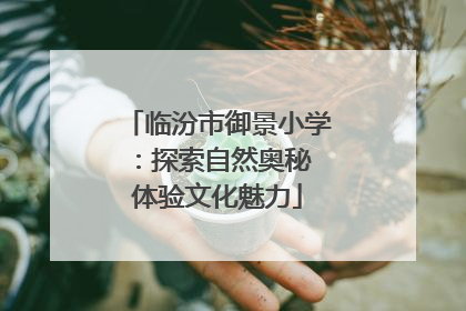 临汾市御景小学：探索自然奥秘 体验文化魅力