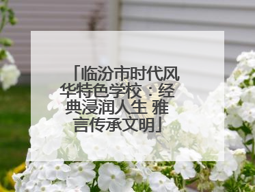 临汾市时代风华特色学校：经典浸润人生 雅言传承文明