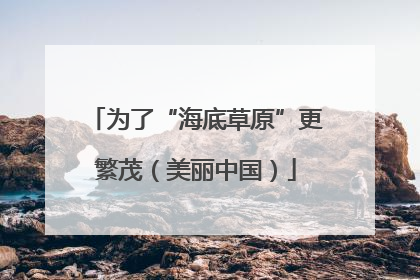 为了“海底草原”更繁茂（美丽中国）