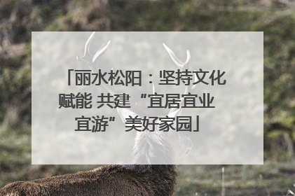 丽水松阳：坚持文化赋能 共建“宜居宜业宜游”美好家园