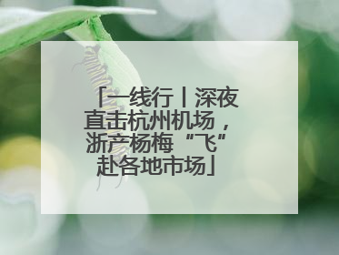 一线行丨深夜直击杭州机场，浙产杨梅“飞”赴各地市场