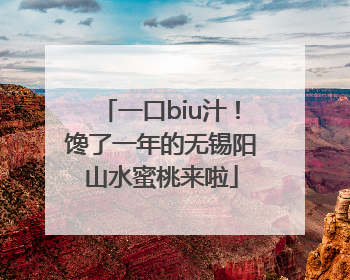 一口biu汁！馋了一年的无锡阳山水蜜桃来啦