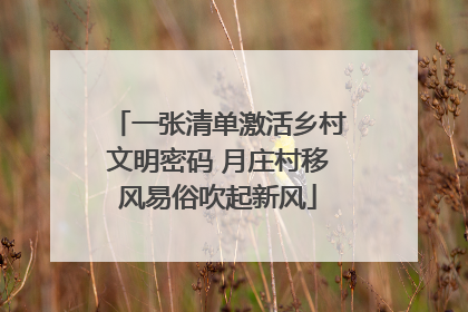 一张清单激活乡村文明密码 月庄村移风易俗吹起新风