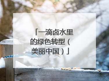 一滴卤水里的绿色转型（美丽中国）